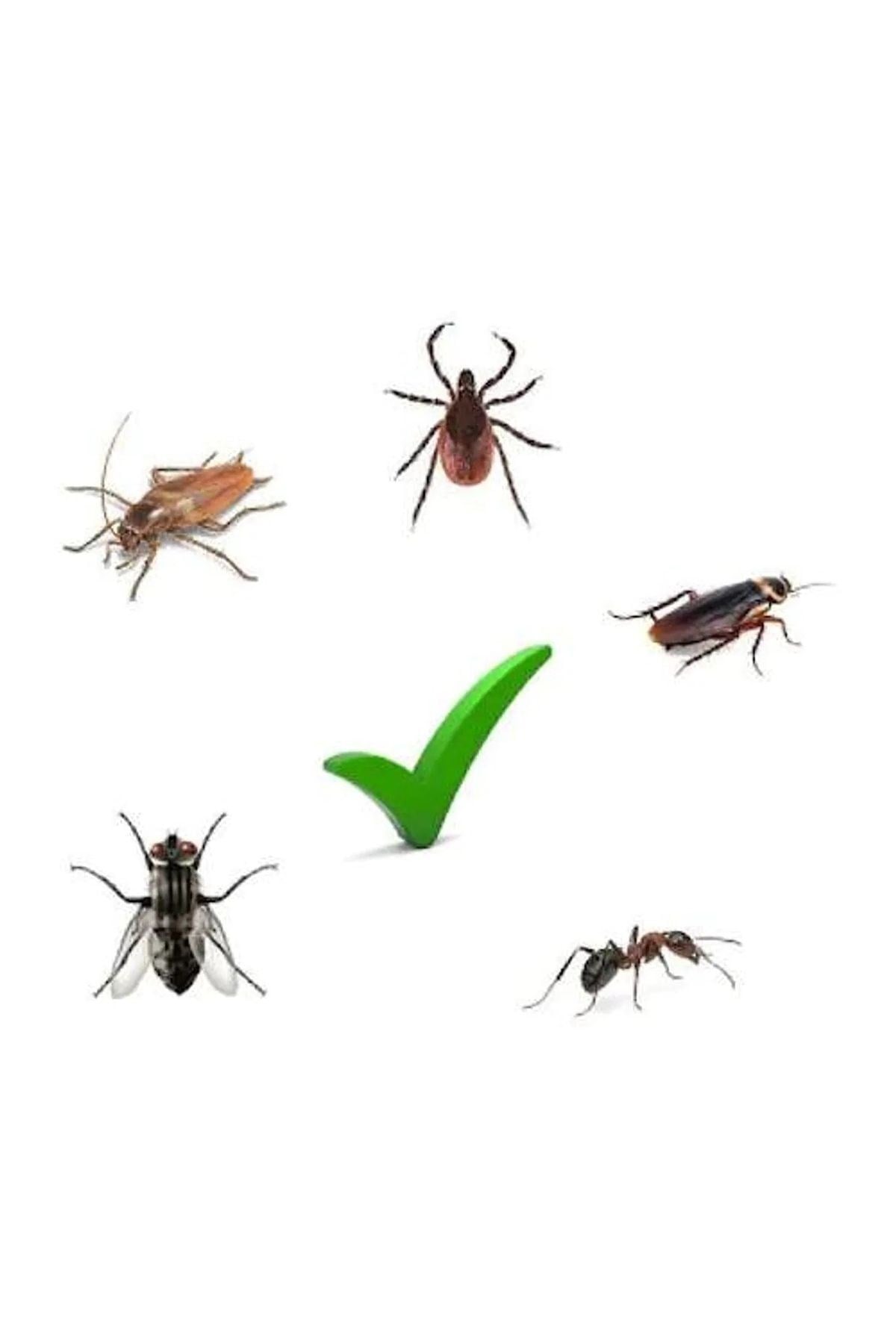 3'lü K-othrine Envu Sc50 50cc Konsantre Genel Haşere Ilacı