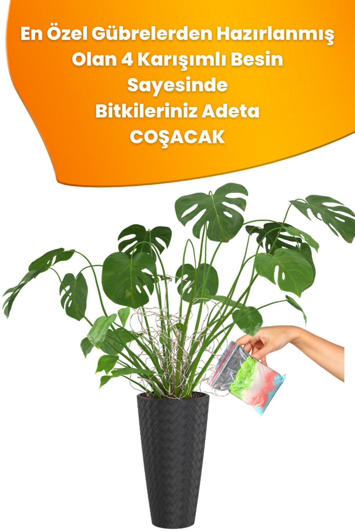 Tüm Bitkiler İçin Besin, Bitki Coşturucu Özel 4'lü Karışım 100 gr.