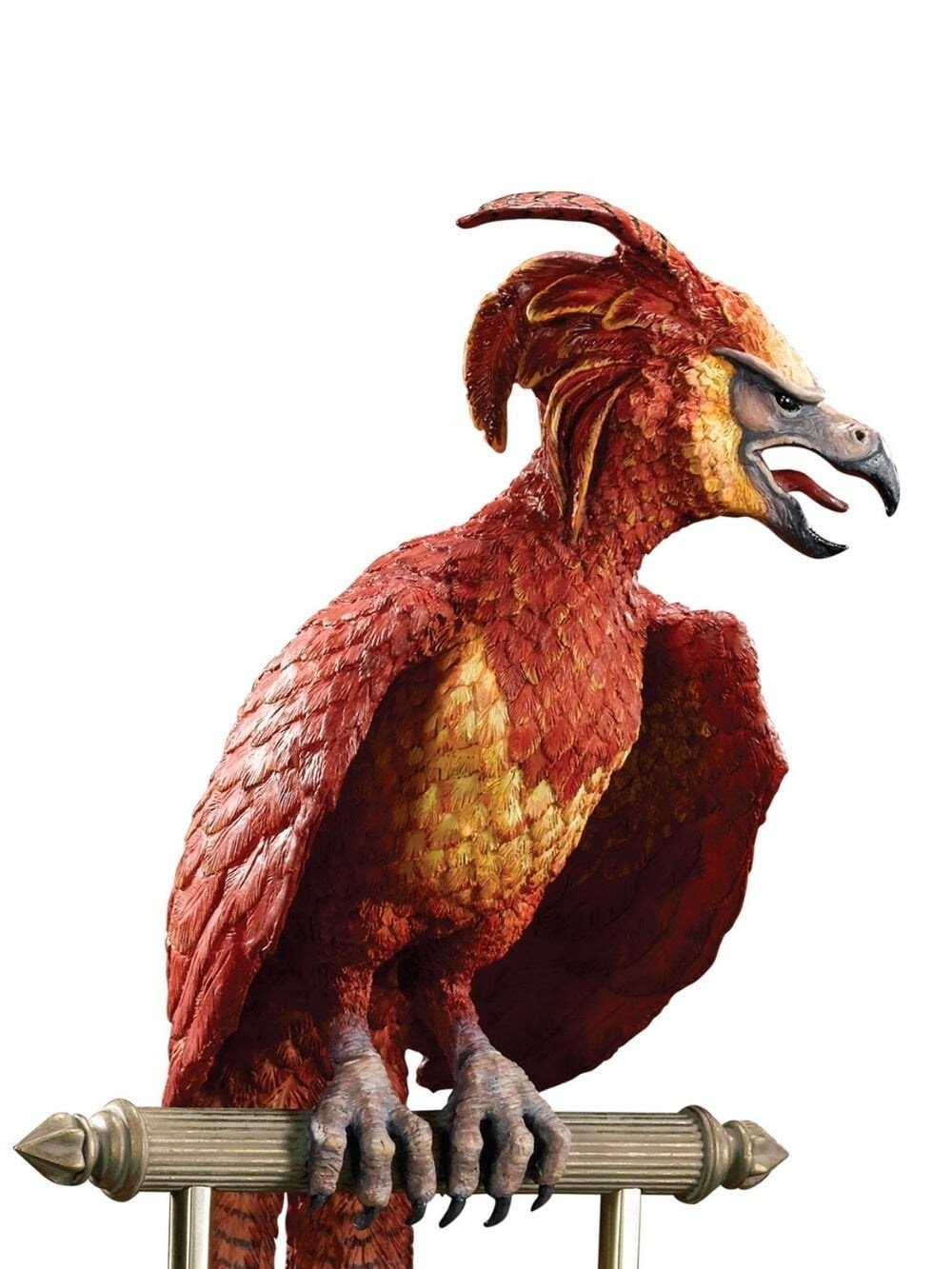 Fawkes the Phoenix