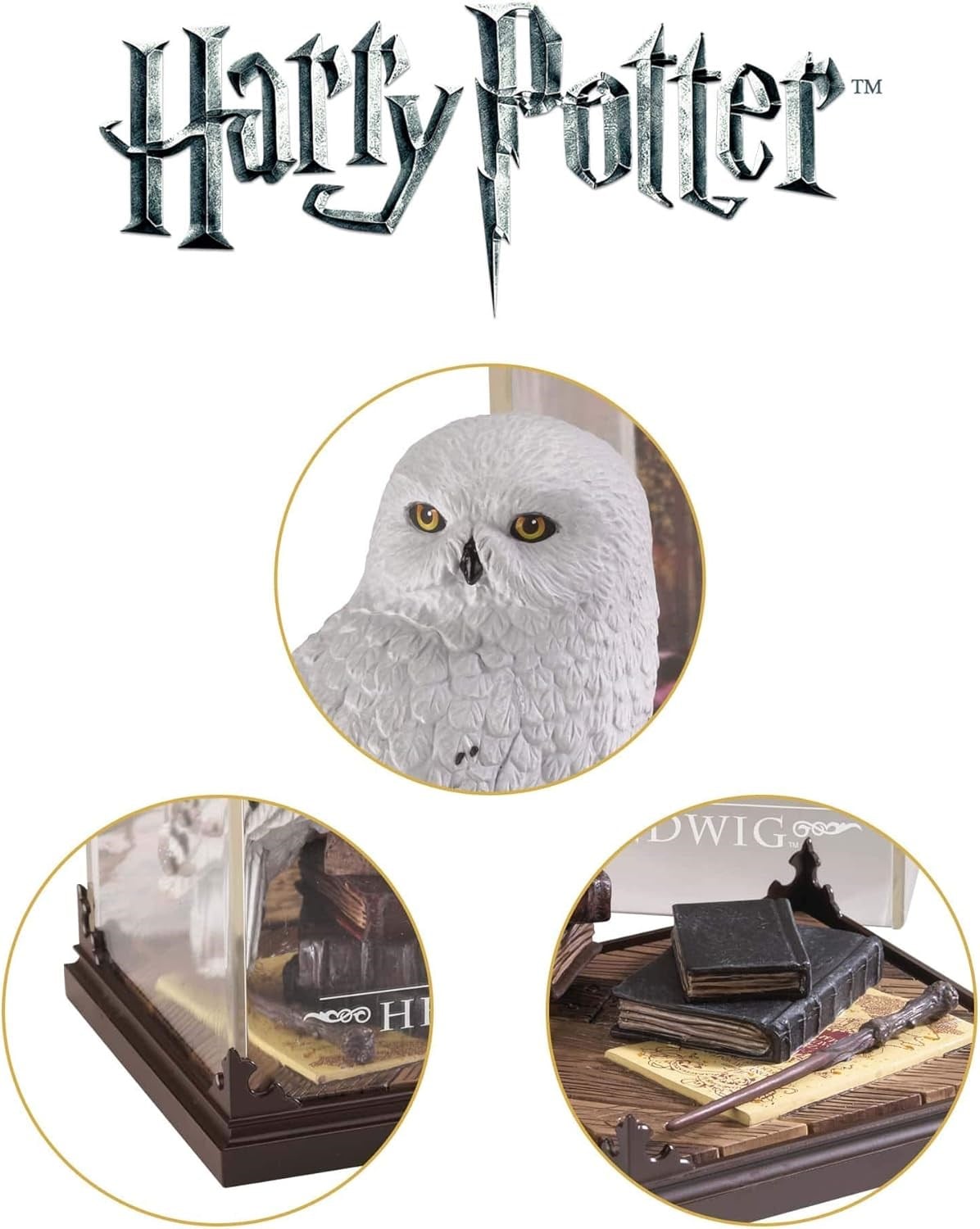 Magical creature - Hedwig