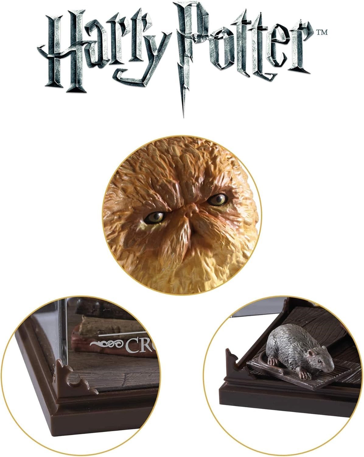 Magical creatures- Crookshanks