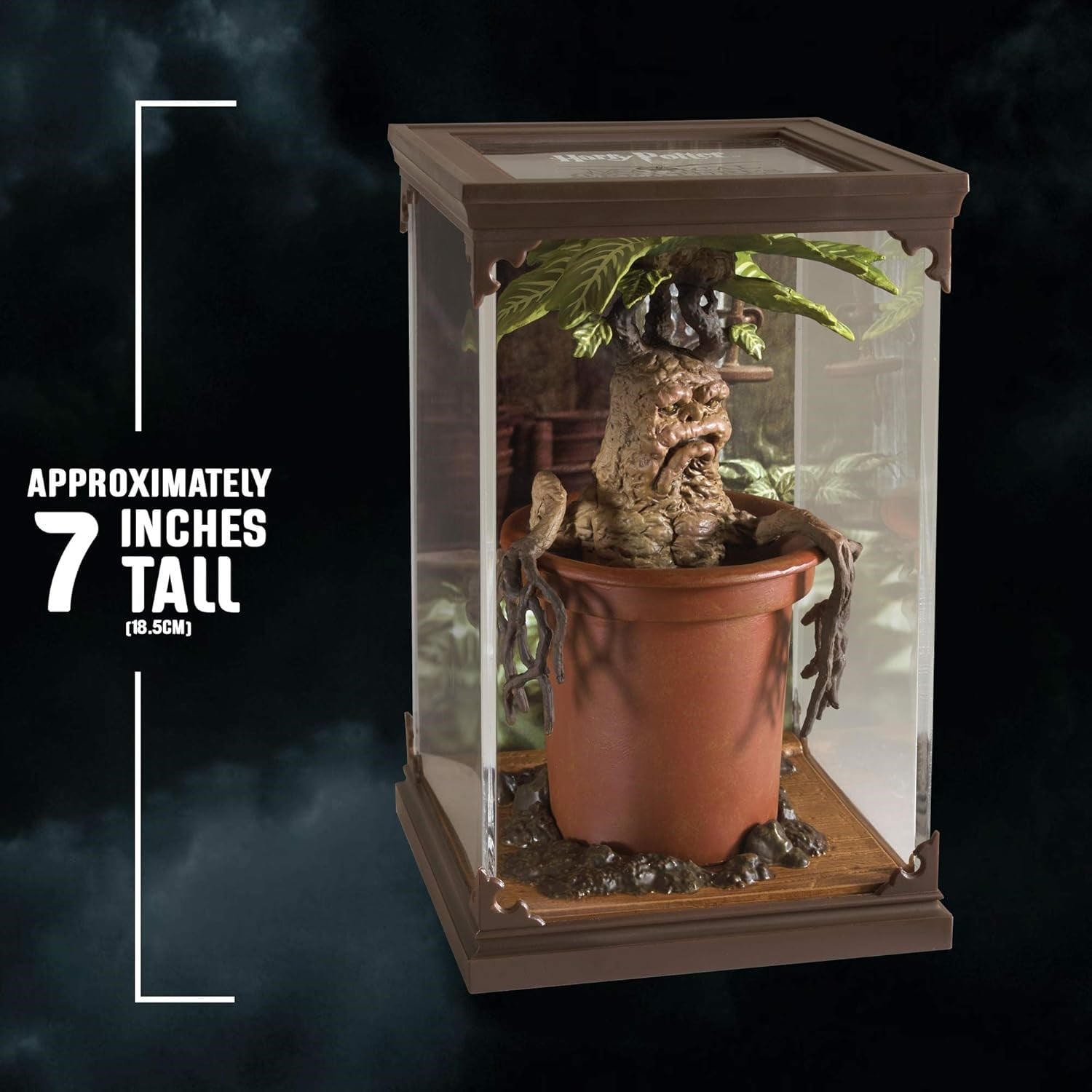 Magical Creatures - Mandrake