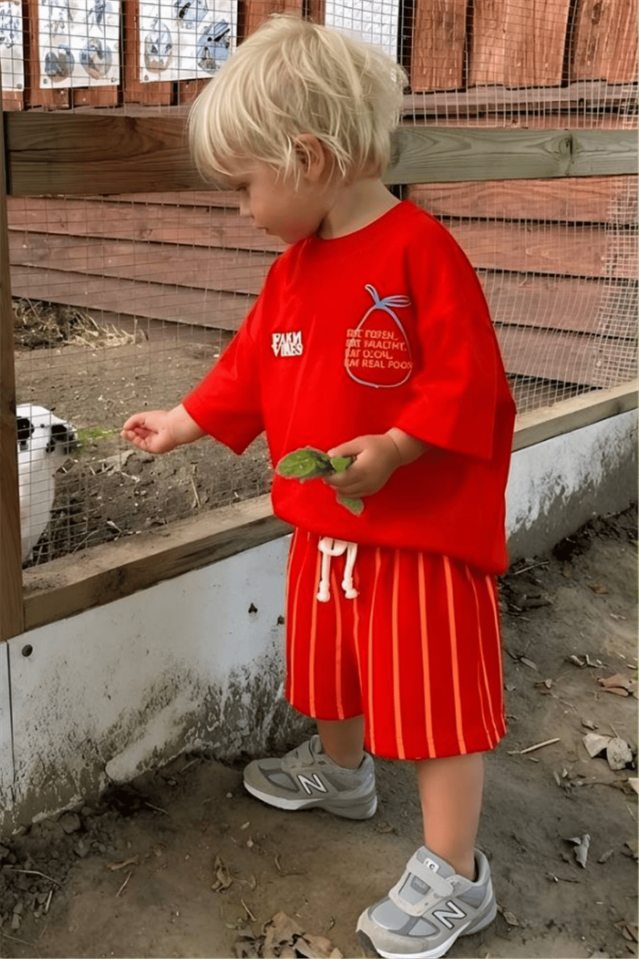 Erkek Çocuk Renkli Baskılı Şortlu Takım