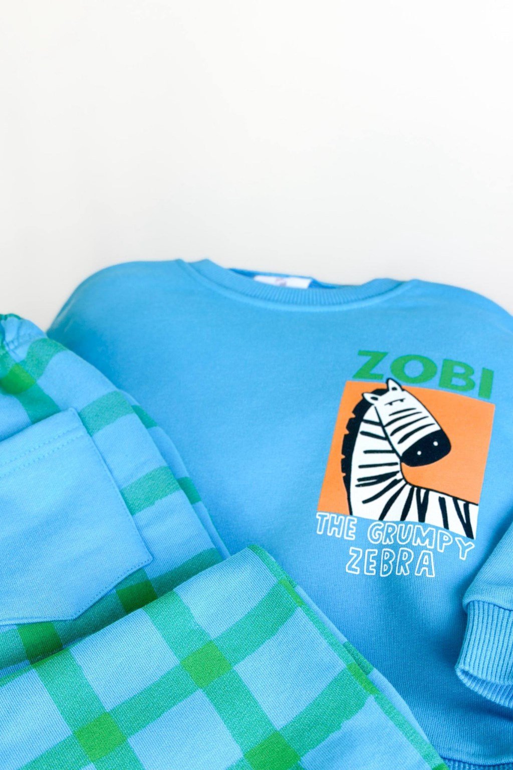 Erkek Çocuk Zebra Temalı Eşofman Takım Mavi