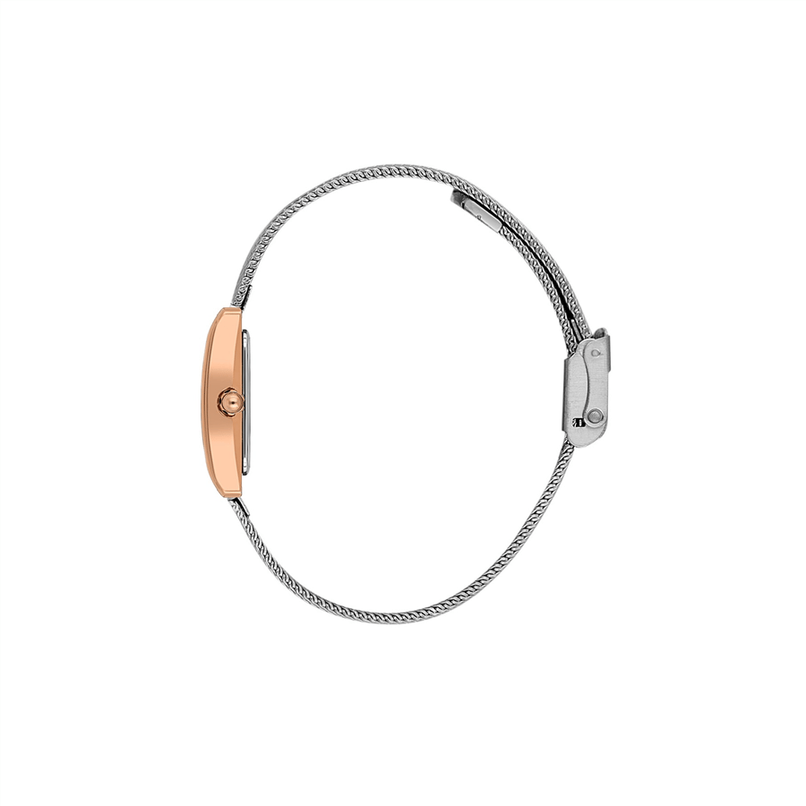 Daniel Klein DKE.1.10980-6 Kadın Kol Saati