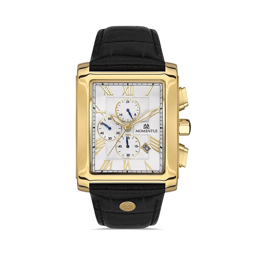 Momentus Time Master TM111G-02BG Erkek Kol Saati