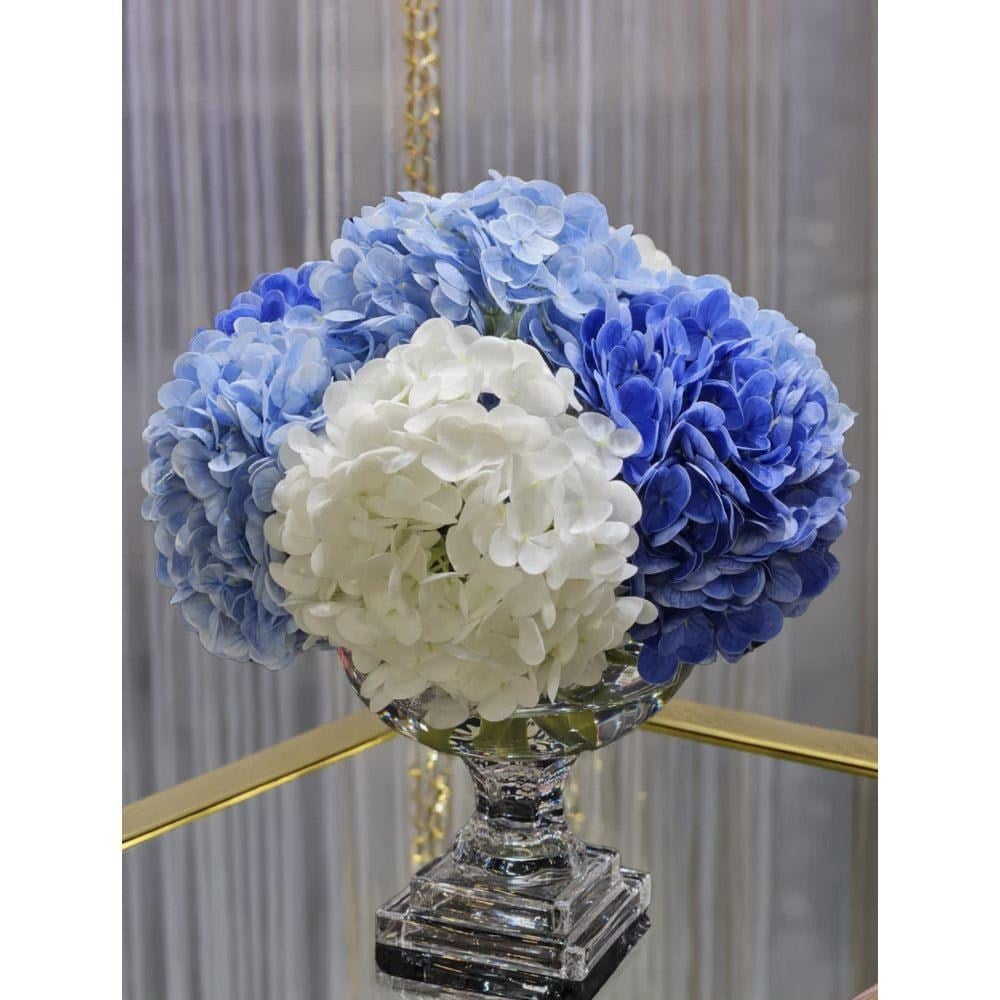 PROVENCE MAVİ & SILVER ORTANCA KOKU M