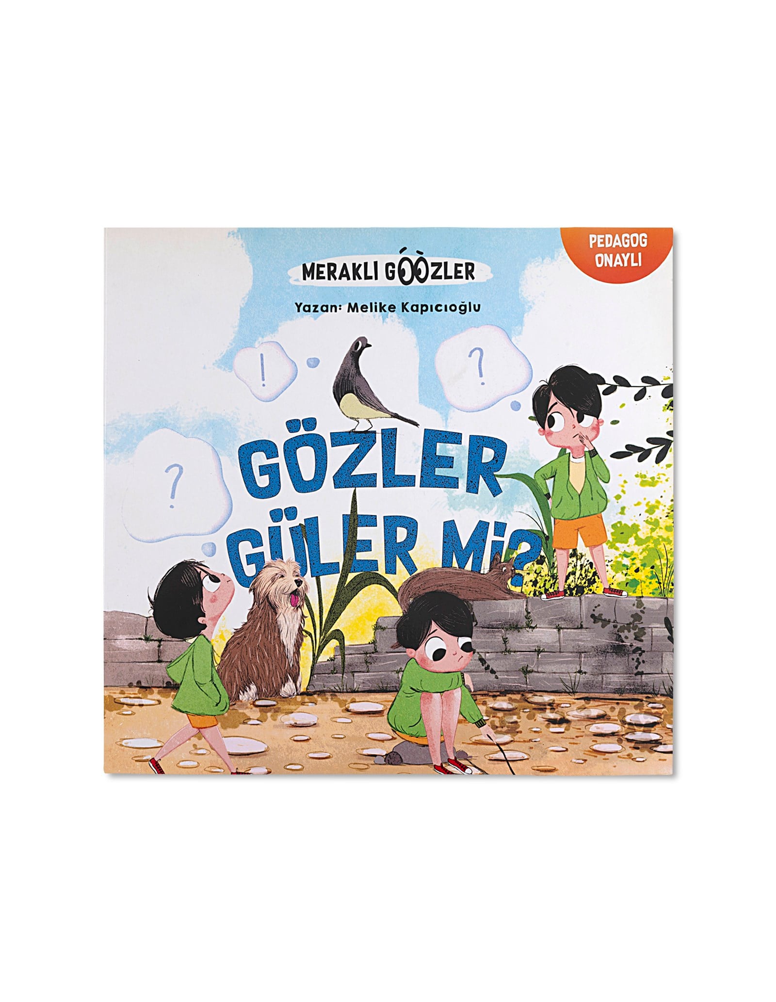 DEYİMLER SETİ