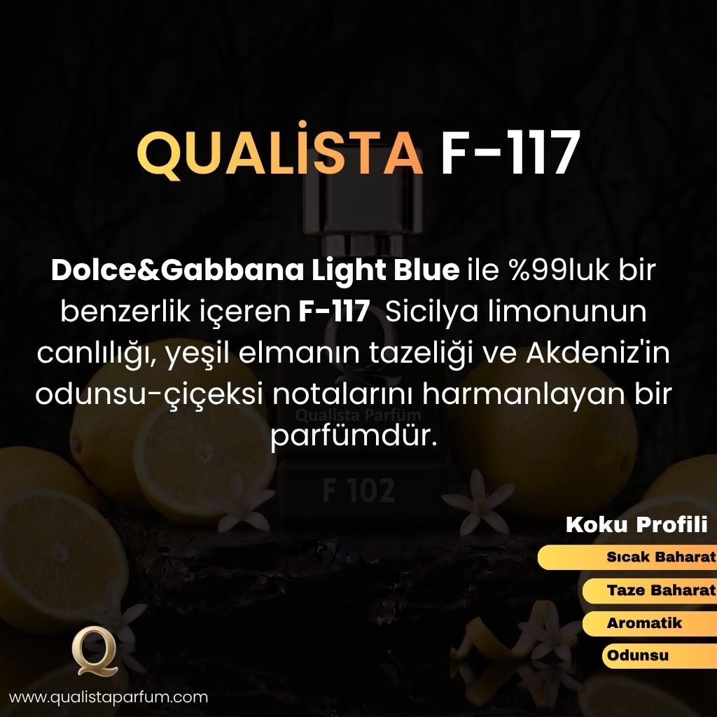 F 117 | Fresh 50ml Erkek Parfümü