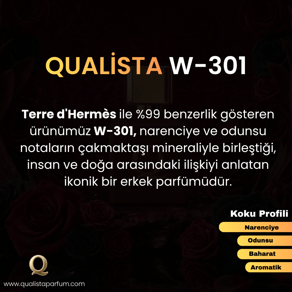 W 301 | Woody 50ml Erkek Parfümü
