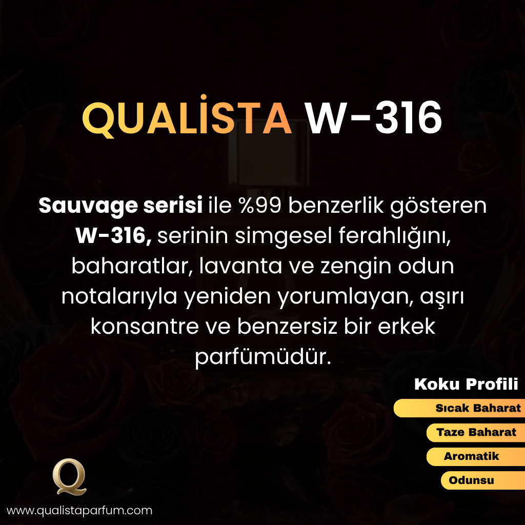 W 316 | Woody 50ml Erkek Parfümü