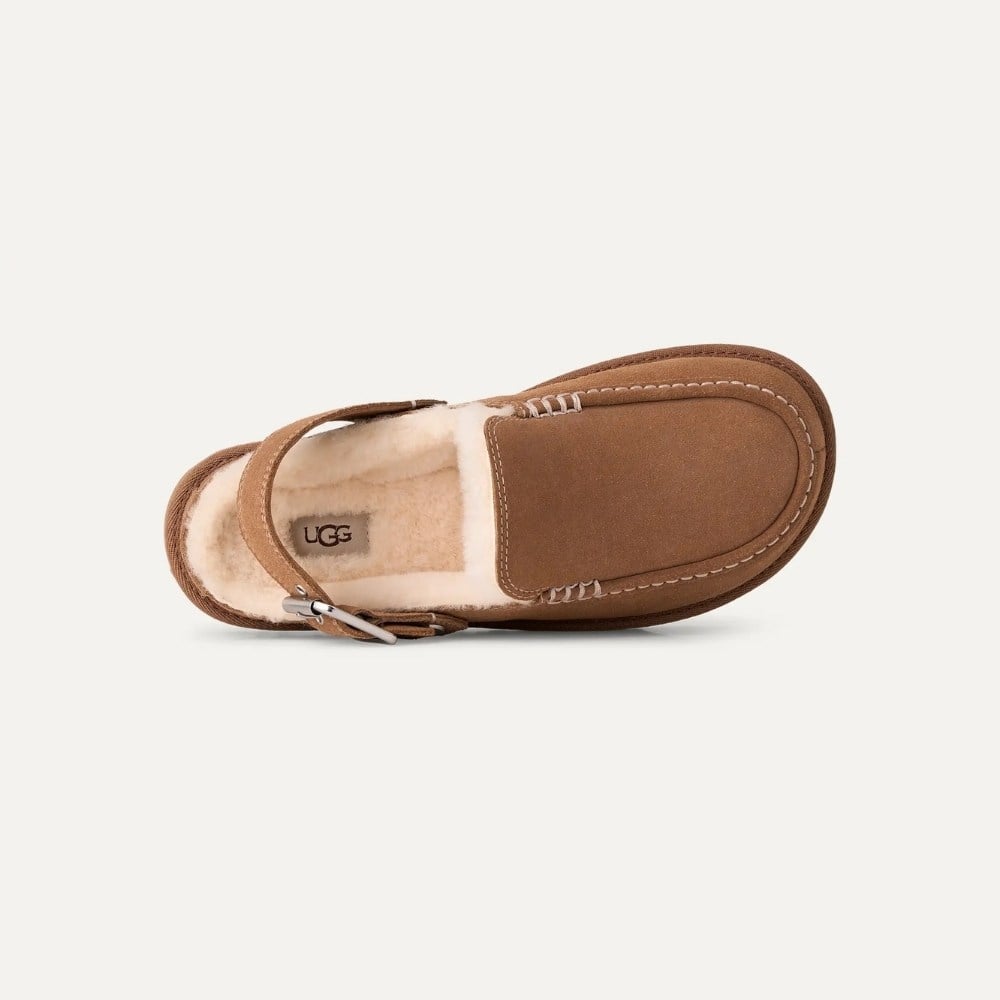 Goldenstar Evelina Clog - Chestnut