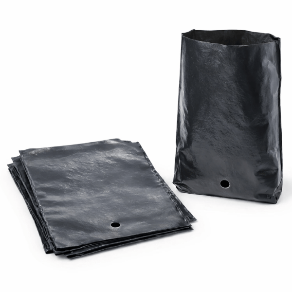 agac-sapli-derin-kavurma-saci-25cm-5-bf95.png
