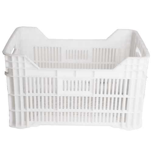 ey-65-tasima-kasasi-1--2211-.png