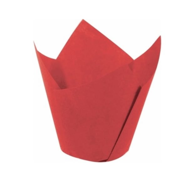 tulip-kirmizi-16050-paket-200lu-a0d2-b.png