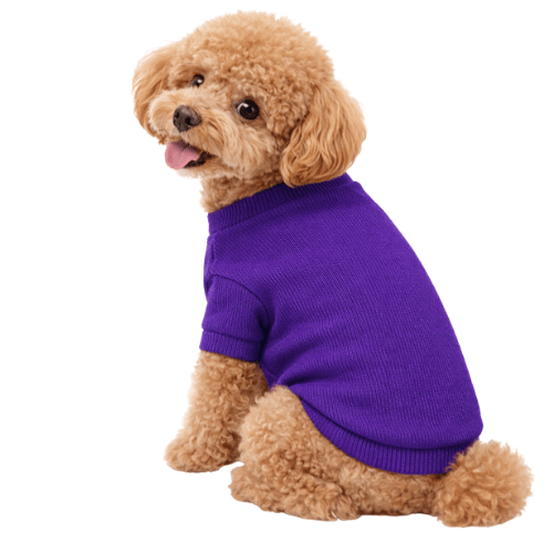 PURPLE- KAŞKORSE KOLLU TİŞÖRT