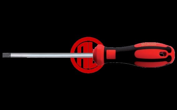 Ceta Form C-PLUS Delikli TORX Uçlu Tornavida - T30 x 115 mm / Kartlı