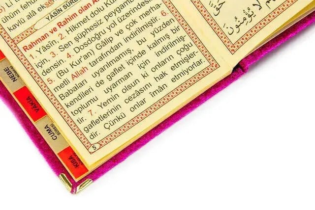 10 Adet Hediyelik Özel Set - Kadife Kaplı Yasin Kitabı - Cep Boy - İsme Özel Plakalı - Seccadeli - Tesbihli - Kutulu - Fuşya