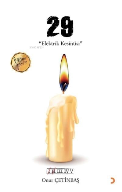 29 - Elektrik Kesintisi
