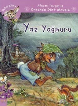 Afacan Tavşanla Ormanda Dört Mevsim - Yaz Yağmuru