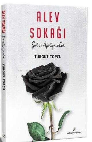 Alev Sokağı