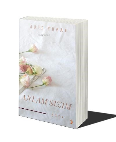Anlamsızım