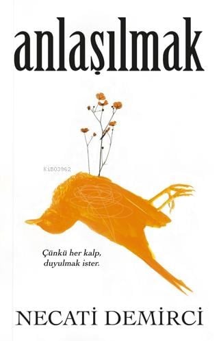 Anlaşılmak