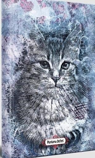 Asil Kedi - Planlama Defteri