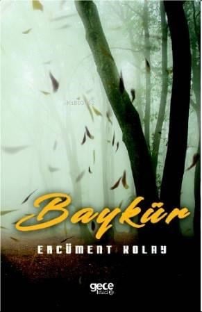 Baykür