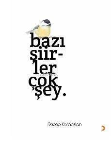 Bazı Şiirler Çok Şey
