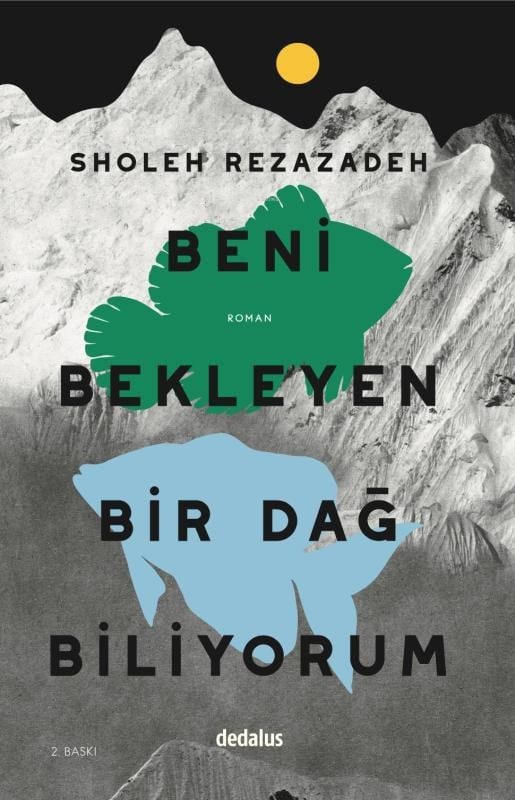 Beni Bekleyen Bir Dağ Biliyorum