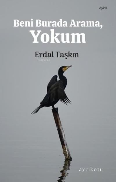 Beni Burada Arama Yokum