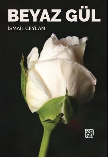 Beyaz Gül