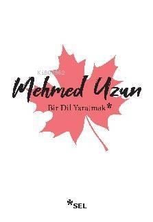 Bir Dil Yaratmak