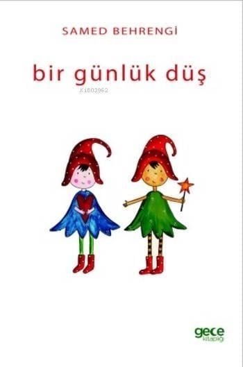 Bir Günlük Düş