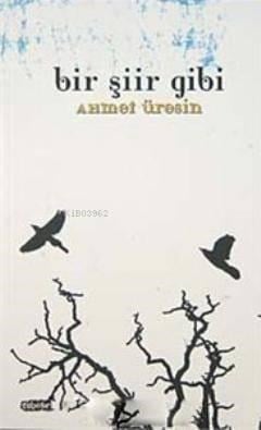 Bir Şiir Gibi