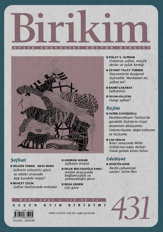 Birikim
