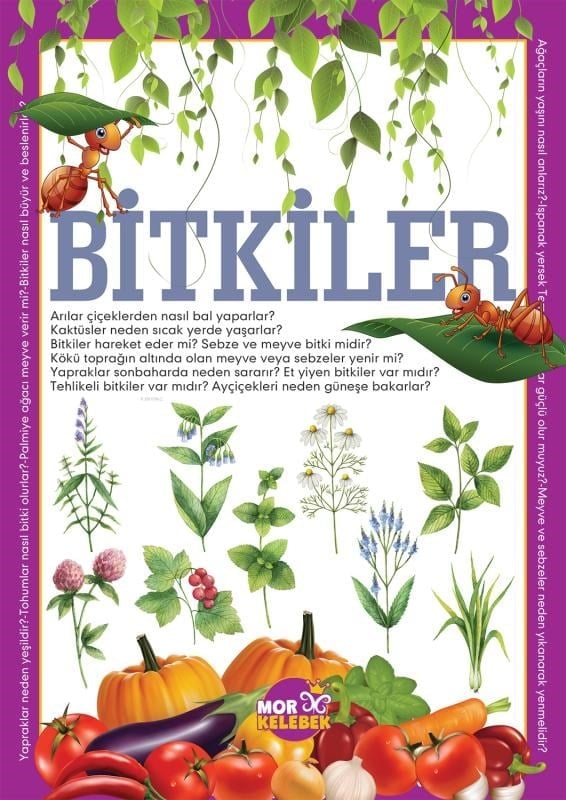 Bitkiler