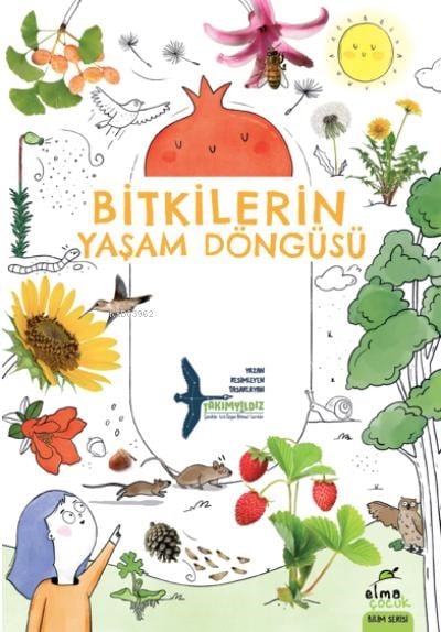 Bitkilerin Yaşam Döngüsü