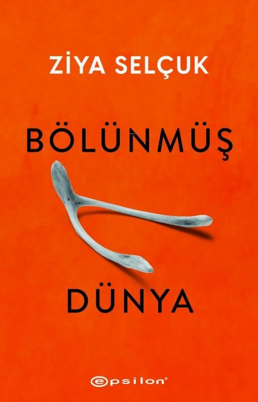 Bölünmüş Dünya