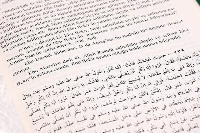 Buhari ve Müslim İttifak Ettiği Hadisler - İthal Kağıt-1471