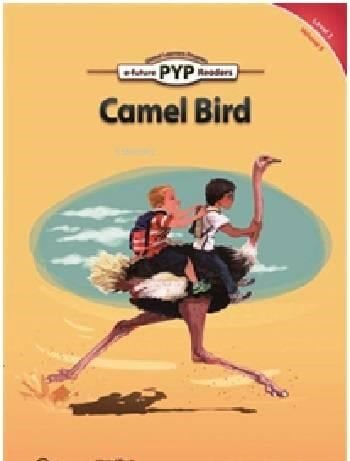 Camel Bird (Level-3)