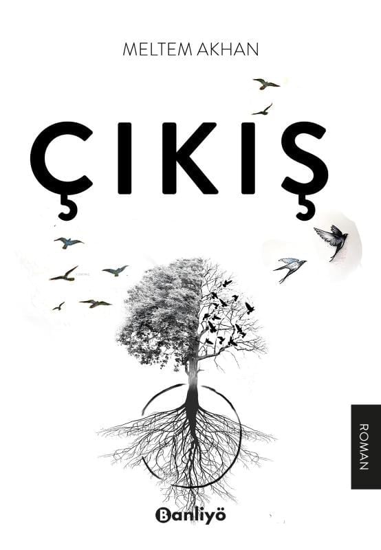 Çıkış