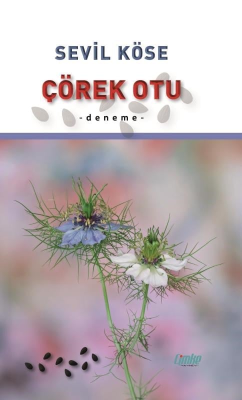 Çörek Otu