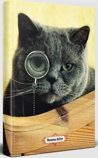 Dedektif Kedi - Planlama Defteri