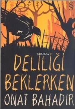 Deliliği Beklerken