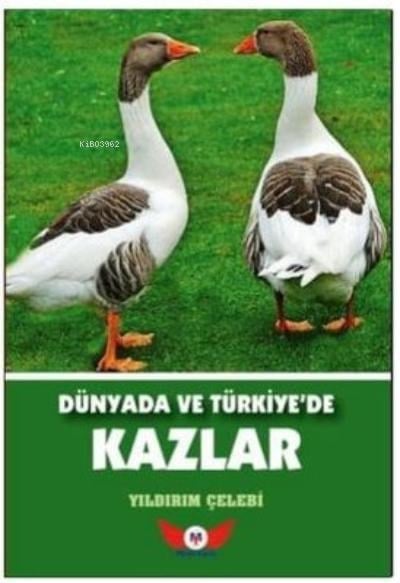 Dünyada Ve Türkiyede Kazlar