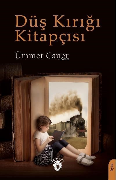 Düş Kırığı Kitapçısı