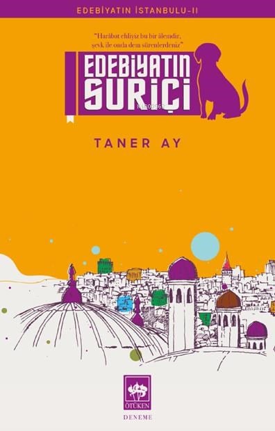 Edebiyatın Suriçi