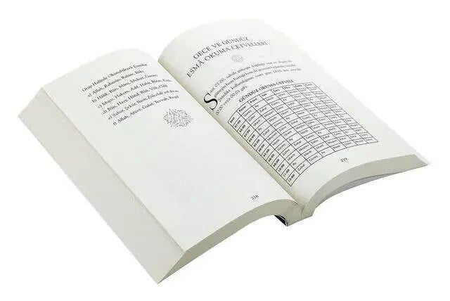Esma Zikri-1286